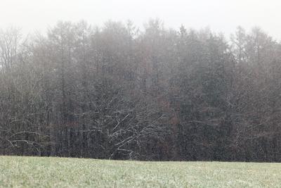 Winter im Siegerland-stock-foto