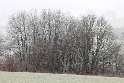 Winter im Siegerland-stock-foto