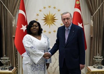 Turkish President Recep Tayyip Erdogan receives a copy of the credentials of Frances Virginia Anderson-stock-foto