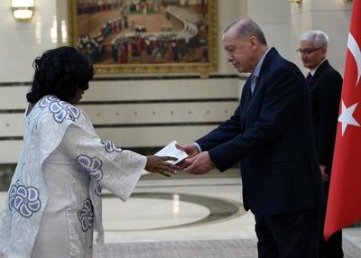 Turkish President Recep Tayyip Erdogan receives a copy of the credentials of Frances Virginia Anderson-stock-foto