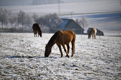 Schw?bische Alb zeigt sich winterlich: Sch?ne Bilder mit Eis, Frost und Raureif-stock-foto