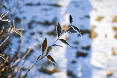 Schw?bische Alb zeigt sich winterlich: Sch?ne Bilder mit Eis, Frost und Raureif-stock-foto