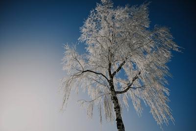 Schw?bische Alb zeigt sich winterlich: Sch?ne Bilder mit Eis, Frost und Raureif-stock-foto