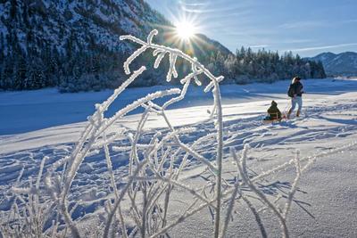Endlich Winter.-stock-foto