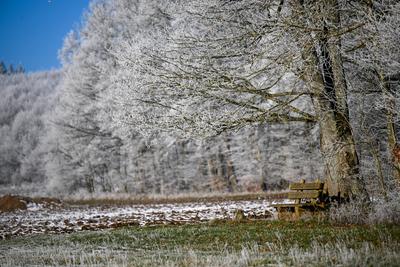 Schw?bische Alb zeigt sich winterlich: Sch?ne Bilder mit Eis, Frost und Raureif-stock-foto