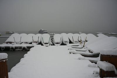Heavy Snowfall Disrupts Life In Kashmir, Flights Grounded, Highway Closed-stock-foto