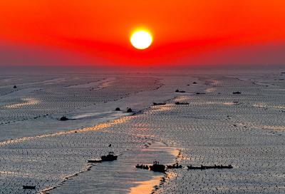 RONGCHENG, CHINA - DECEMBER 29: Fishermen work at a kelp farming area of Ailun Bay Marine Ranch at sunrise on December 2-stock-foto