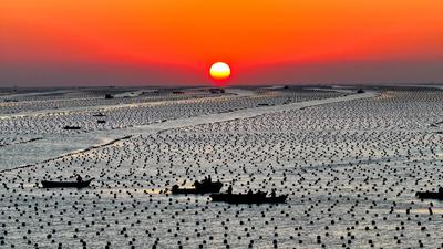 RONGCHENG, CHINA - DECEMBER 29: Fishermen work at a kelp farming area of Ailun Bay Marine Ranch at sunrise on December 2-stock-foto