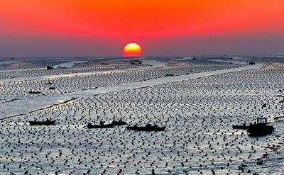 RONGCHENG, CHINA - DECEMBER 29: Fishermen work at a kelp farming area of Ailun Bay Marine Ranch at sunrise on December 2-stock-foto