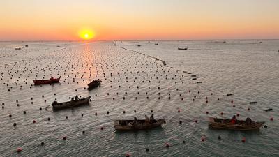 RONGCHENG, CHINA - DECEMBER 29: Fishermen work at a kelp farming area of Ailun Bay Marine Ranch at sunrise on December 2-stock-foto