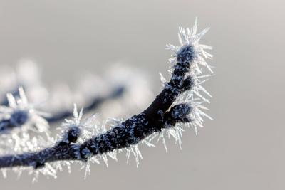Winterwetter in Brandenburg-stock-photo