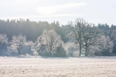 Winterwetter in Brandenburg-stock-photo