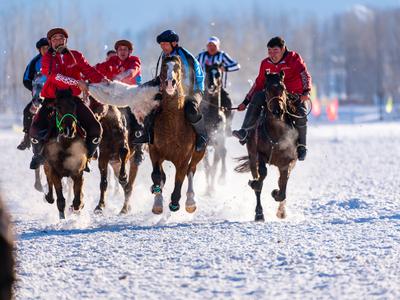 ILI, CHINA - DECEMBER 29: Horsemen compete in a goat-grabbing game on December 29, 2024 in Ili Kazakh Autonomous Prefect-stock-photo