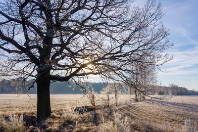 Winterwetter in Brandenburg-stock-photo