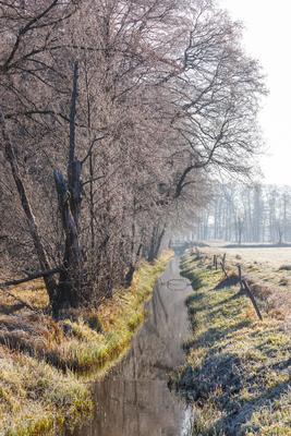 Winterwetter im Spreewald-stock-foto