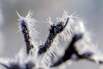 Winterwetter in Brandenburg-stock-photo