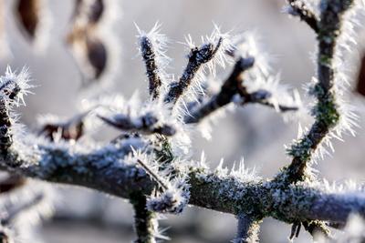 Winterwetter in Brandenburg-stock-photo