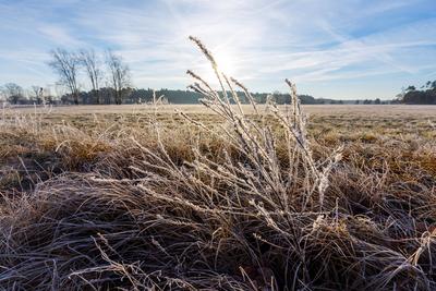 Winterwetter in Brandenburg-stock-photo