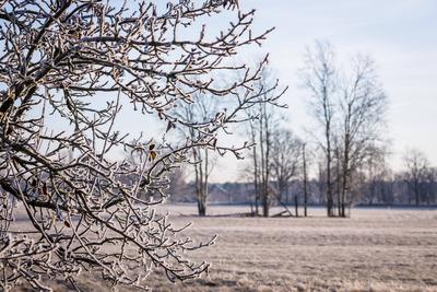 Winterwetter in Brandenburg-stock-photo