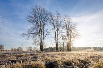 Winterwetter in Brandenburg-stock-foto