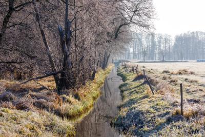 Winterwetter im Spreewald-stock-foto