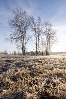 Winterwetter in Brandenburg-stock-foto