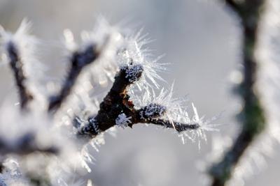 Winterwetter in Brandenburg-stock-foto