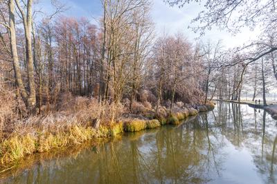 Winterwetter im Spreewald-stock-foto