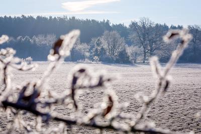 Winterwetter in Brandenburg-stock-foto