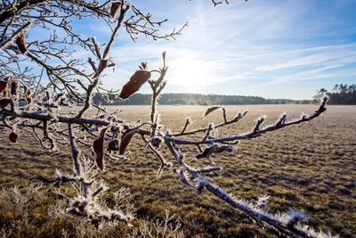 Winterwetter in Brandenburg-stock-foto