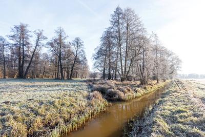 Winterwetter im Spreewald-stock-foto
