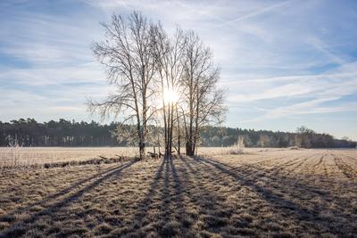 Winterwetter in Brandenburg-stock-foto