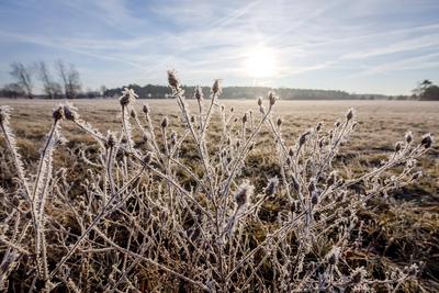 Winterwetter in Brandenburg-stock-foto
