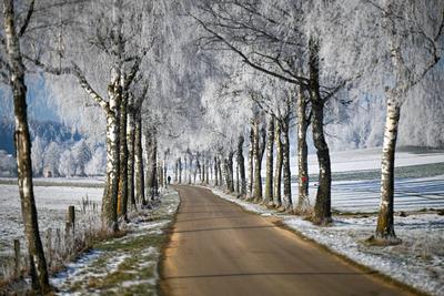Schw?bische Alb zeigt sich winterlich: Sch?ne Bilder mit Eis, Frost und Raureif-stock-foto