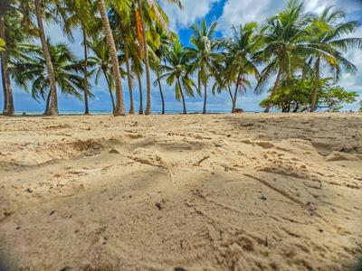 Romantischer karibischer Sandstrand mit Palmen, Sonnenaufgang am Plage de Bois Jolan, Guadeloupe, Romantischer karibisch-stock-photo