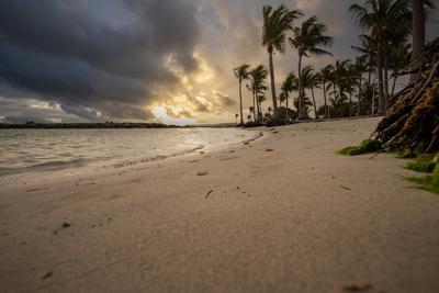 Romantischer karibischer Sandstrand mit Palmen, Sonnenaufgang am Plage de Bois Jolan, Guadeloupe, Romantischer karibisch-stock-photo