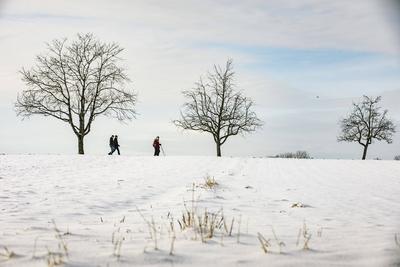 Winterzauber auf der Schw?bischen Alb, Die Schw?bische Alb hat sich in ein winterliches Wunderland verwandelt. Der Heide-stock-foto