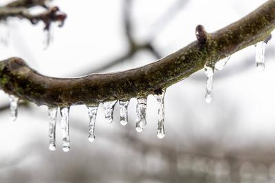 Eisregen in Hessen-stock-foto