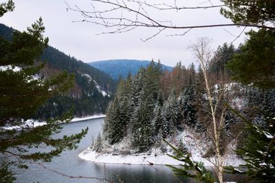 Winter an der Ohratalsperre im Th?ringer Wald, 04.01.2025 Luisenthal Th?ringen Deutschland *** Winter at the Ohratal dam-stock-foto
