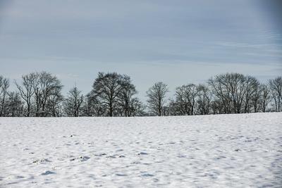 Winterzauber auf der Schw?bischen Alb, Die Schw?bische Alb hat sich in ein winterliches Wunderland verwandelt. Der Heide-stock-foto