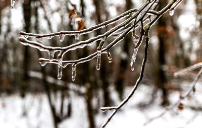 05.01.2025 - Winterimpression: ?ber Nacht kam auch in Rheinland-Pfalz der Wintereinbruch mit Schnee- und Schneeregen. ?s-stock-foto