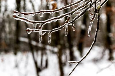 05.01.2025 - Winterimpression: ?ber Nacht kam auch in Rheinland-Pfalz der Wintereinbruch mit Schnee- und Schneeregen. ?s-stock-foto
