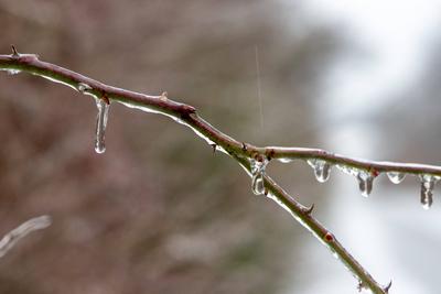 Eisregen in Hessen-stock-foto