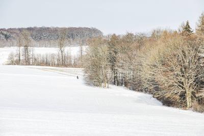 Winterzauber auf der Schw?bischen Alb, Die Schw?bische Alb hat sich in ein winterliches Wunderland verwandelt. Der Heide-stock-foto
