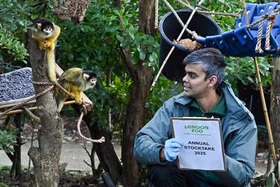 Annual Stocktake 2025 at ZSL London Zoo-stock-photo