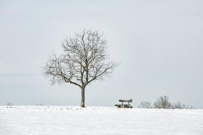 Winterzauber auf der Schw?bischen Alb, Die Schw?bische Alb hat sich in ein winterliches Wunderland verwandelt. Der Heide-stock-foto
