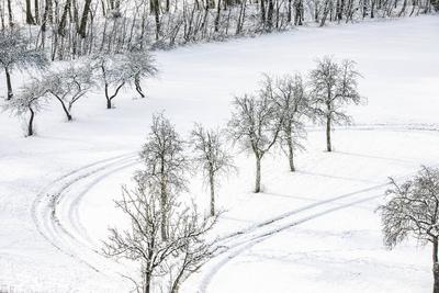 Winterzauber auf der Schw?bischen Alb, Die Schw?bische Alb hat sich in ein winterliches Wunderland verwandelt. Der Heide-stock-foto