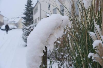 Natur-stock-foto