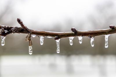 Eisregen in Hessen-stock-foto
