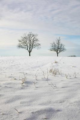 Winterzauber auf der Schw?bischen Alb, Die Schw?bische Alb hat sich in ein winterliches Wunderland verwandelt. Der Heide-stock-foto